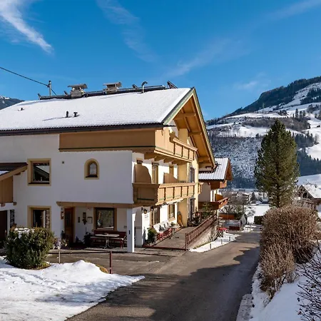 Apartamento Alpensonne Zellberg