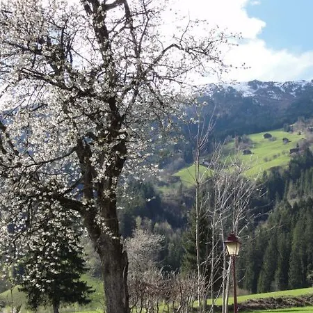 Apart Alpensonne Zillertal Zellberg