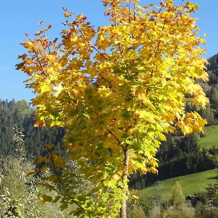 Alpensonne Zellberg