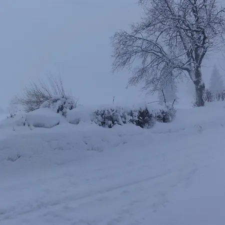 Alpensonne Zellberg