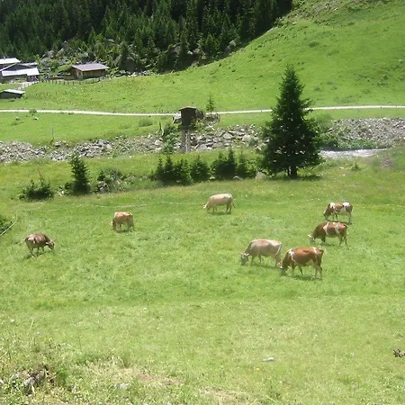 Alpensonne Appartement *