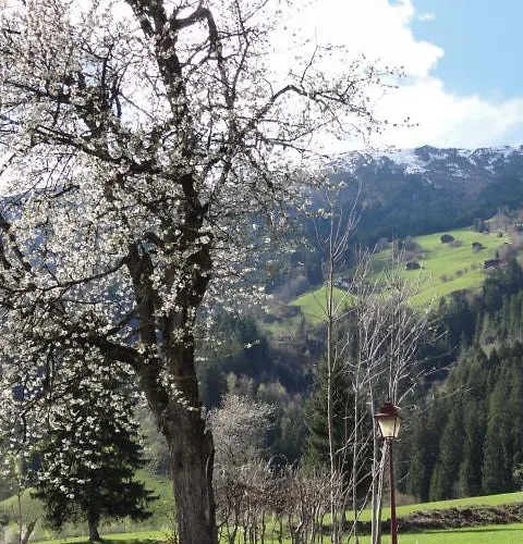 Alpensonne Zellberg