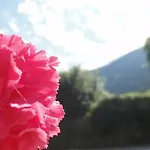 Alpensonne アパート