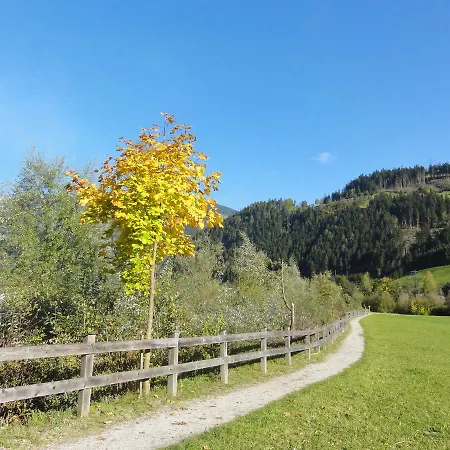 Alpensonne *